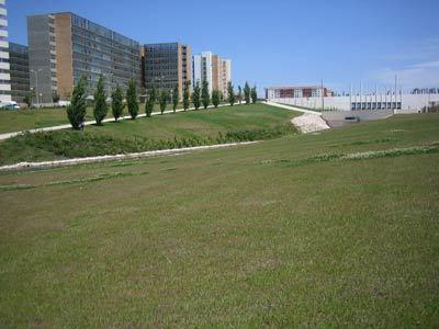 Cardoso Pires 2 Bedrooms Apt. Lisboa Rom bilde